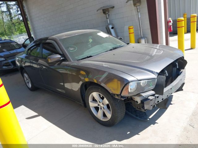 DODGE CHARGER 2014 2c3cdxbg8eh315561