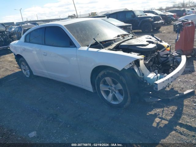 DODGE CHARGER 2019 2c3cdxbg8kh688465