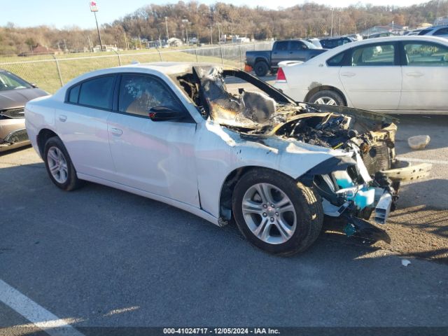 DODGE CHARGER 2023 2c3cdxbg8ph643789