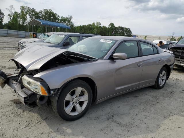 DODGE CHARGER 2014 2c3cdxbg9eh198413