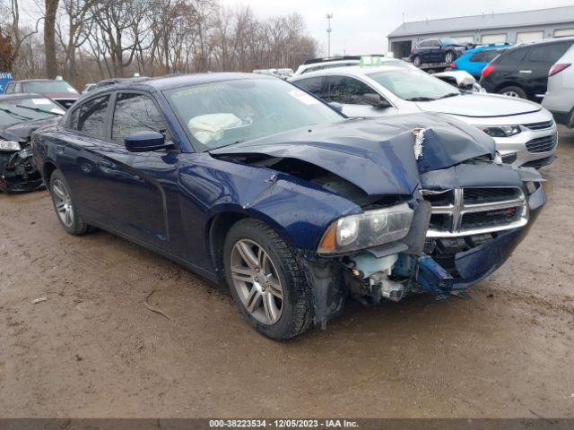 DODGE CHARGER 2014 2c3cdxbg9eh324334