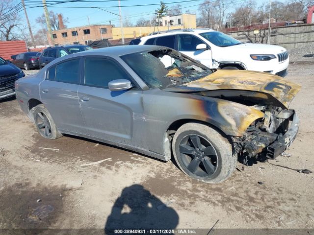 DODGE CHARGER 2014 2c3cdxbg9eh326102