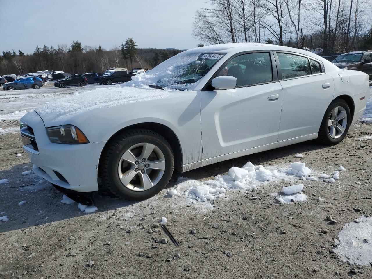 DODGE CHARGER 2014 2c3cdxbgxeh108010