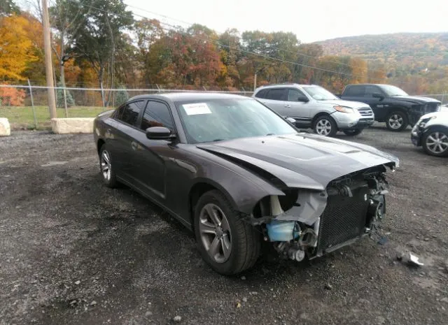 DODGE CHARGER 2014 2c3cdxbgxeh230513