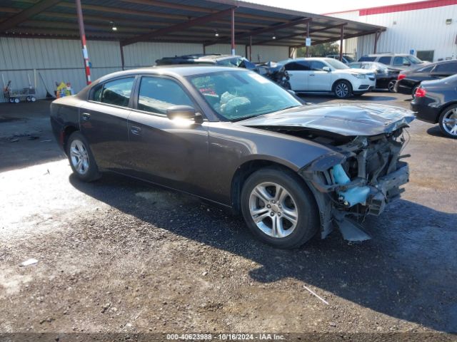 DODGE CHARGER 2020 2c3cdxbgxlh153896