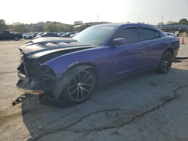 DODGE CHARGER R/ 2014 2c3cdxct5eh155991