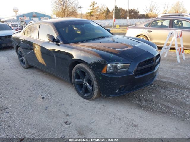 DODGE CHARGER 2013 2c3cdxctxdh541059