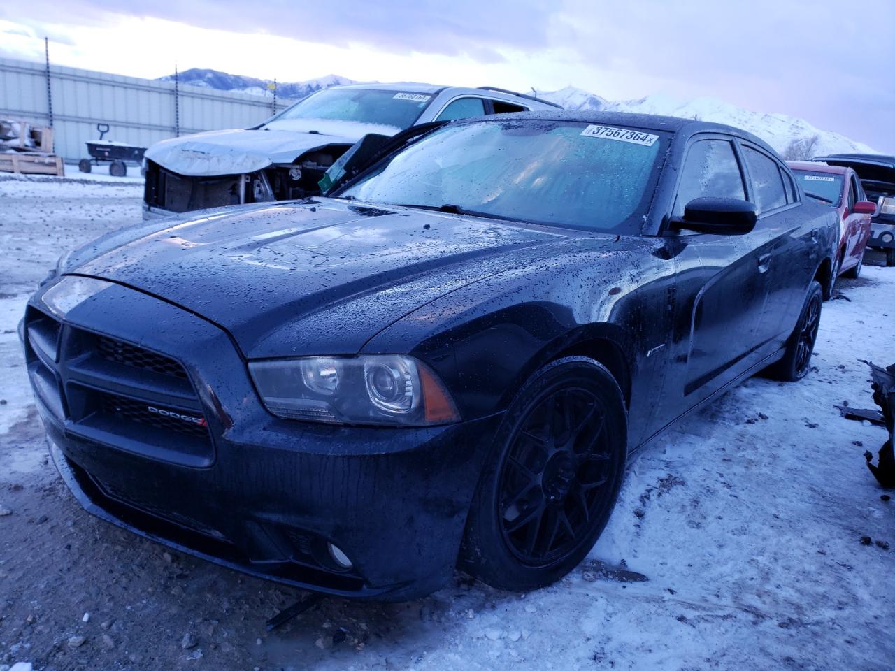 DODGE CHARGER 2013 2c3cdxdtxdh503622