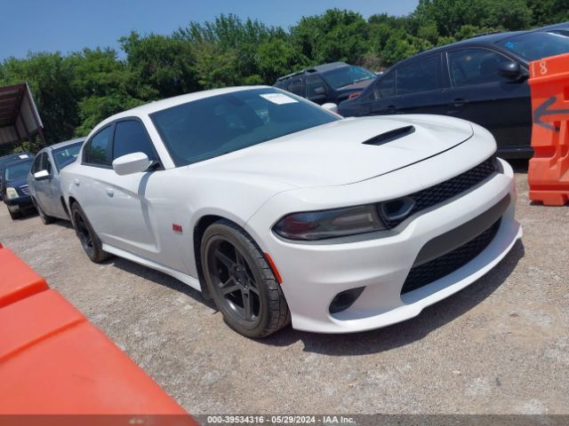 DODGE CHARGER 2019 2c3cdxgj0kh717896