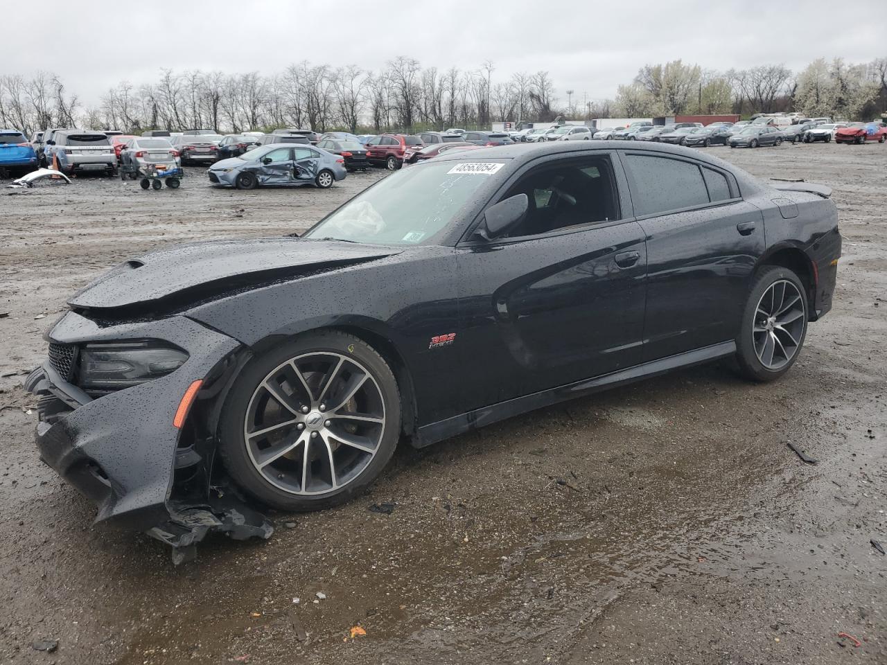 DODGE CHARGER 2018 2c3cdxgjxjh113142