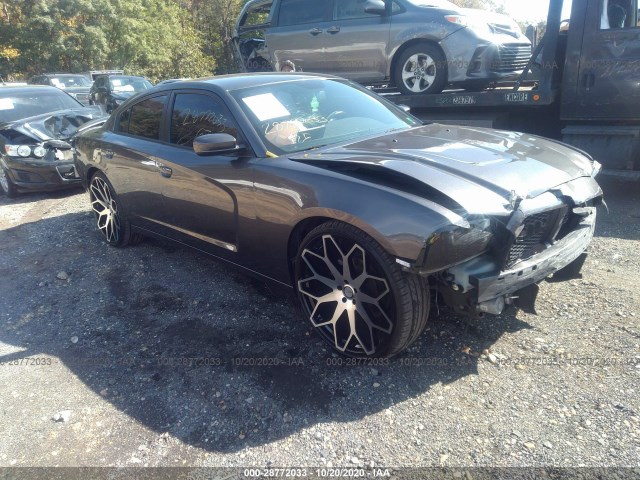 DODGE CHARGER 2014 2c3cdxhg0eh319000