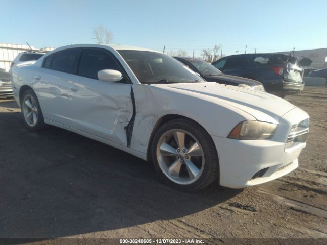 DODGE CHARGER 2014 2c3cdxhg3eh349883