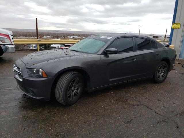 DODGE CHARGER 2014 2c3cdxhg4eh325012