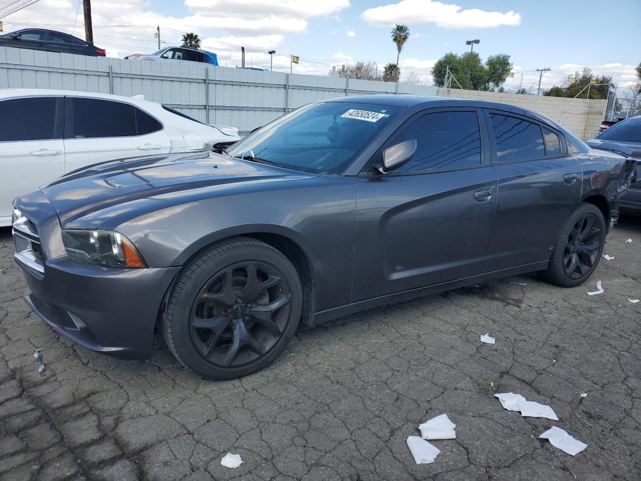 DODGE CHARGER 2014 2c3cdxhg5eh325102