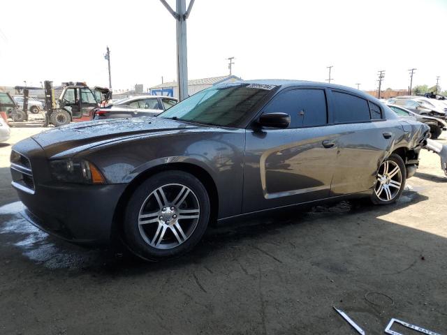 DODGE CHARGER 2014 2c3cdxhg7eh329328