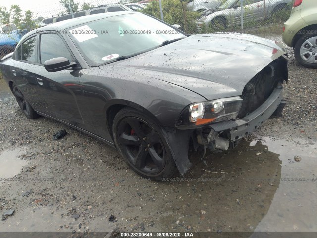 DODGE CHARGER 2014 2c3cdxhg8eh156032