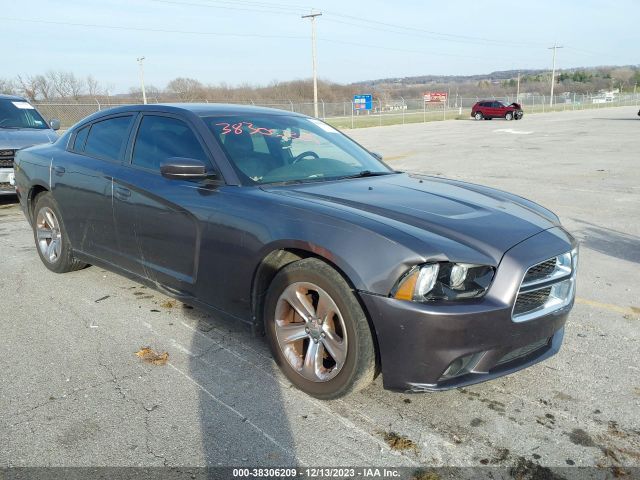 DODGE CHARGER 2014 2c3cdxhg8eh248533