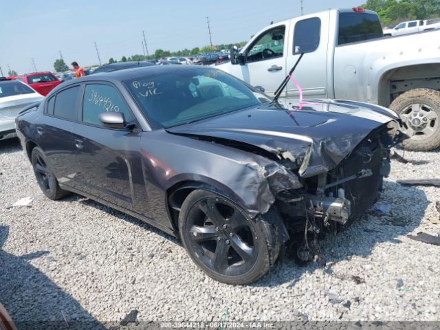 DODGE CHARGER 2014 2c3cdxhg9eh277667