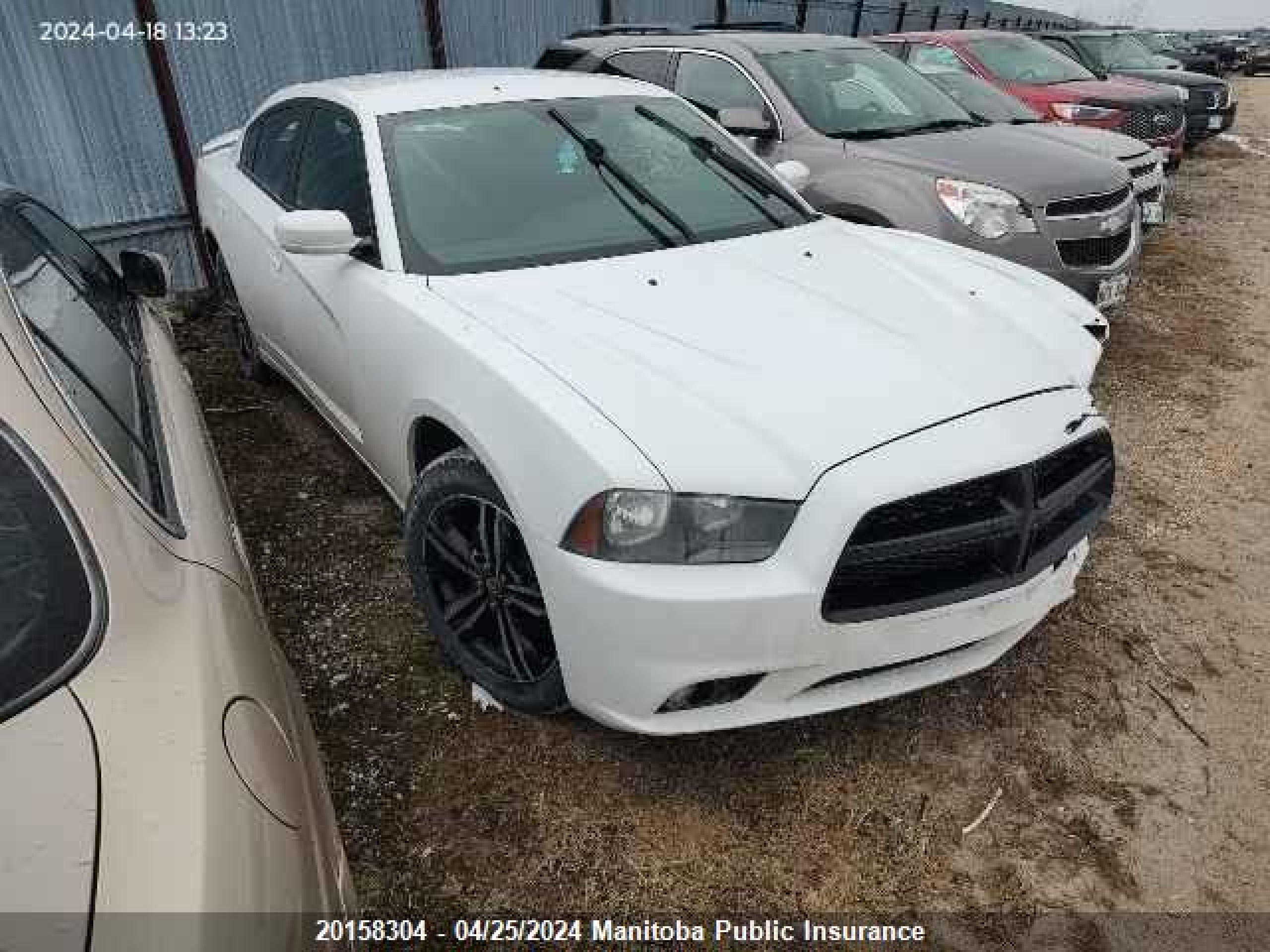 DODGE CHARGER 2014 2c3cdxjg7eh287205