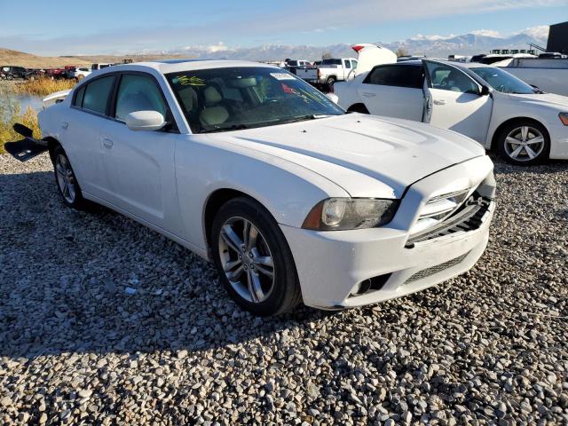 DODGE CHARGER 2013 2c3cdxjg9dh735359