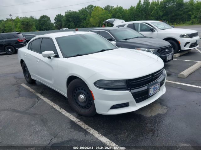 DODGE CHARGER 2019 2c3cdxkt5kh559046