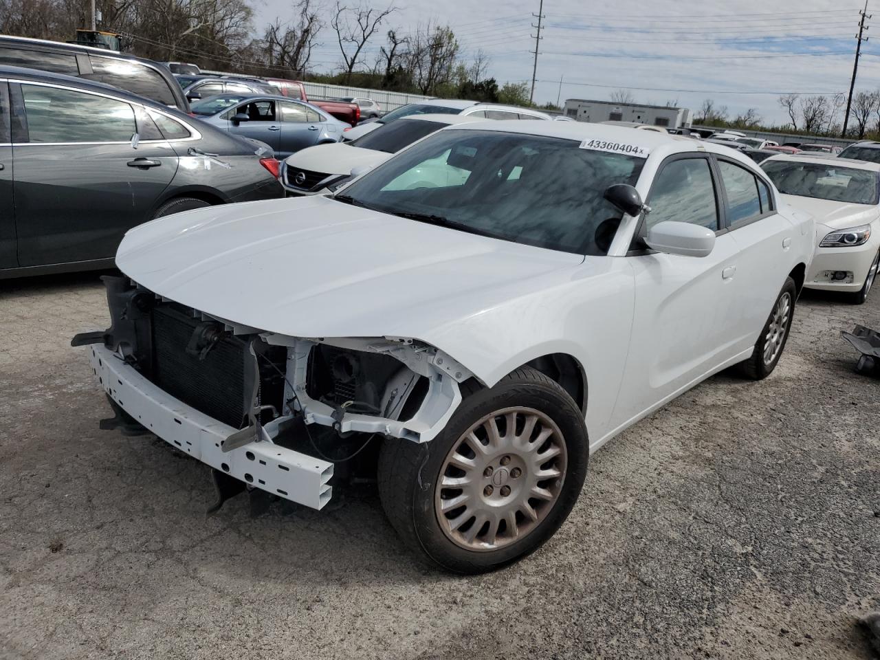 DODGE CHARGER 2019 2c3cdxkt5kh743046