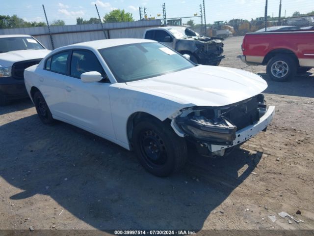 DODGE CHARGER 2019 2c3cdxkt9kh743146