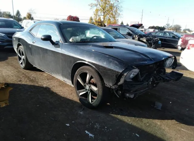 DODGE CHALLENGER 2013 2c3cdyag0dh536416