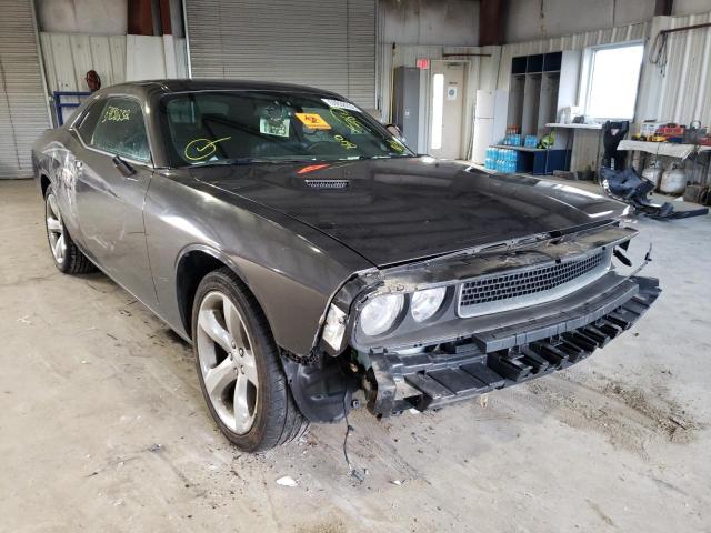 DODGE CHALLENGER 2013 2c3cdyag0dh562207