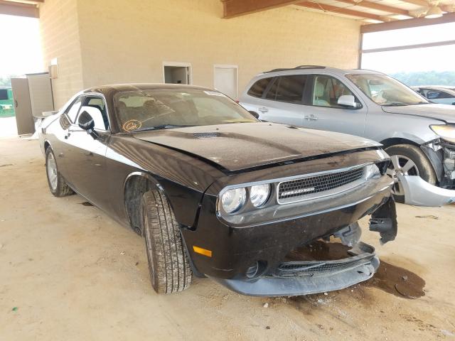 DODGE CHALLENGER 2013 2c3cdyag0dh562515