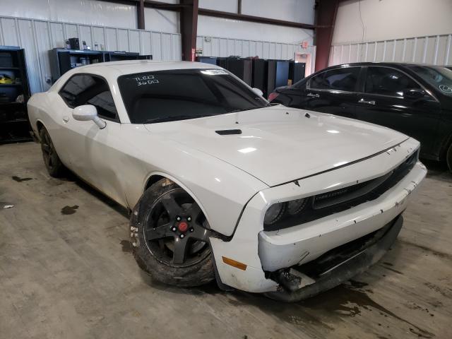 DODGE CHALLENGER 2013 2c3cdyag0dh578925