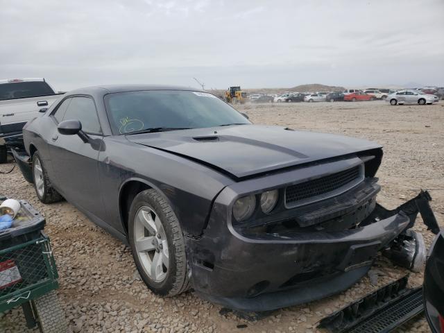 DODGE CHALLENGER 2013 2c3cdyag0dh581906