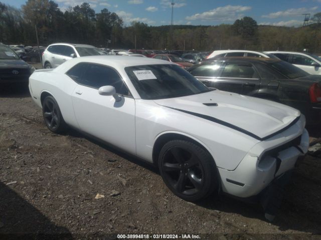 DODGE CHALLENGER 2013 2c3cdyag0dh616234