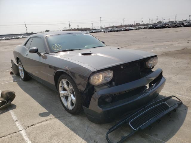 DODGE CHALLENGER 2013 2c3cdyag0dh649315