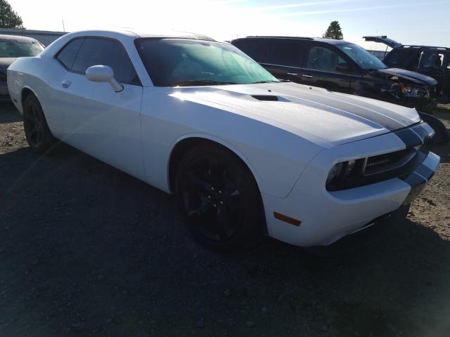 DODGE CHALLENGER 2013 2c3cdyag0dh651002