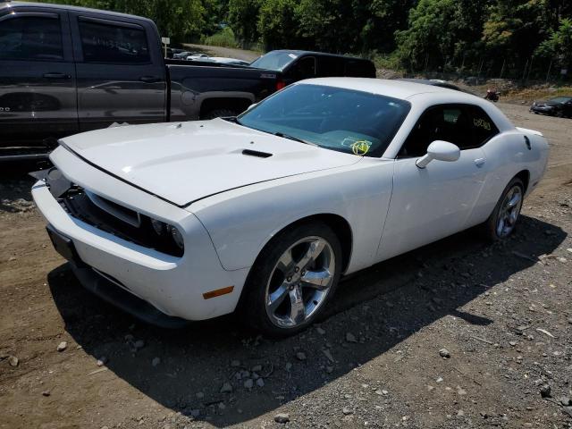 DODGE CHALLENGER 2013 2c3cdyag0dh672495