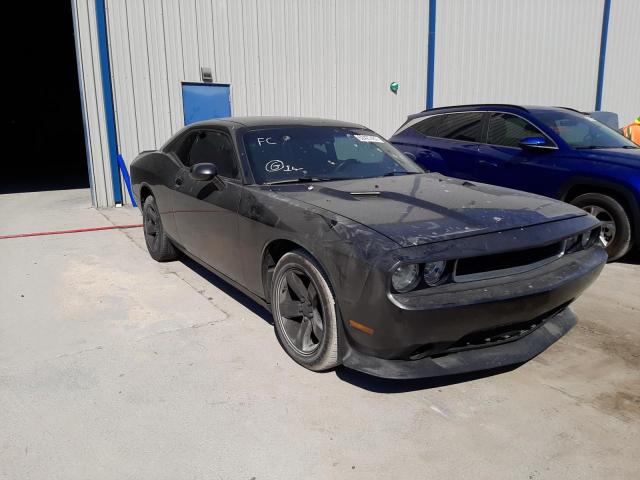 DODGE CHALLENGER 2014 2c3cdyag0eh220211