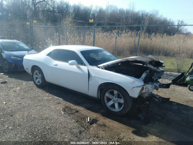 DODGE CHALLENGER 2014 2c3cdyag0eh247733