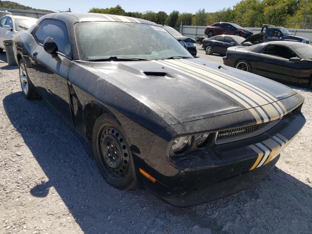 DODGE CHALLENGER 2014 2c3cdyag0eh294213