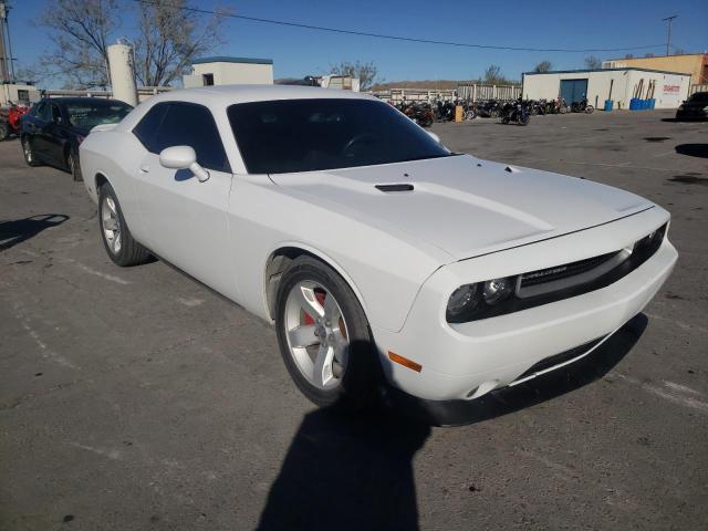 DODGE CHALLENGER 2014 2c3cdyag0eh298410