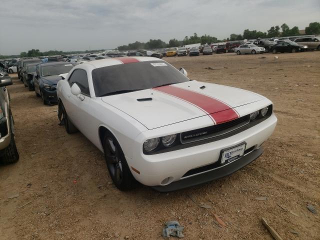 DODGE CHALLENGER 2013 2c3cdyag1dh500881