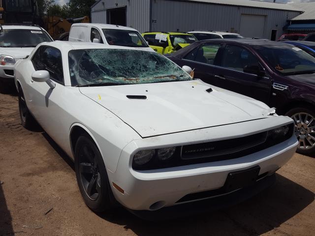 DODGE CHALLENGER 2013 2c3cdyag1dh549191