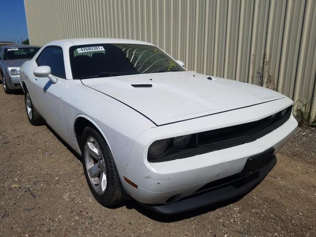 DODGE CHALLENGER 2013 2c3cdyag1dh581851