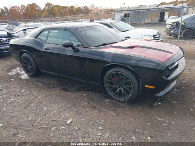 DODGE CHALLENGER 2013 2c3cdyag1dh592879