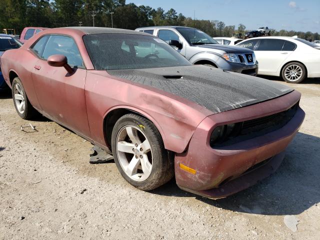 DODGE CHALLENGER 2013 2c3cdyag1dh596527