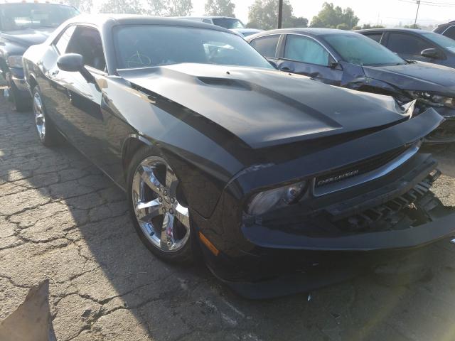 DODGE CHALLENGER 2013 2c3cdyag1dh665863