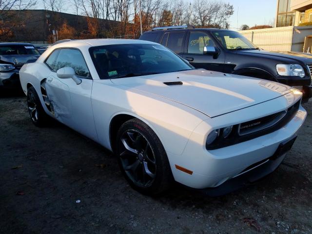 DODGE CHALLENGER 2013 2c3cdyag1dh691671