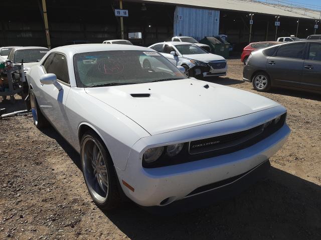 DODGE CHALLENGER 2013 2c3cdyag1dh718853