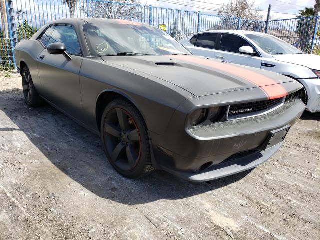 DODGE CHALLENGER 2014 2c3cdyag1eh137368