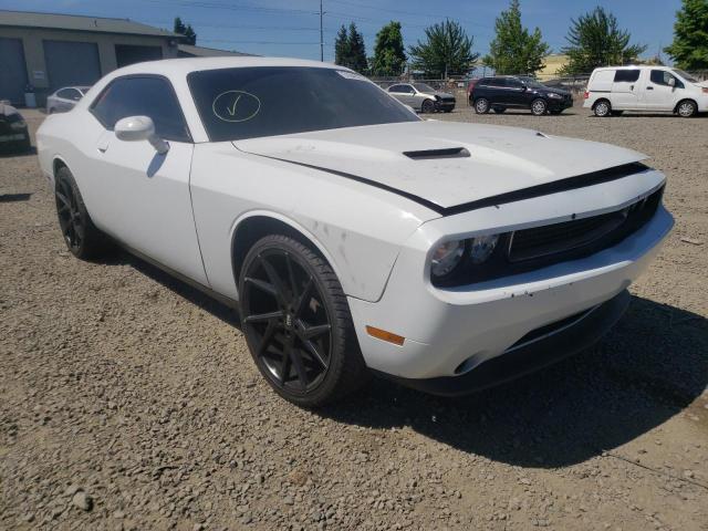 DODGE CHALLENGER 2014 2c3cdyag1eh270499